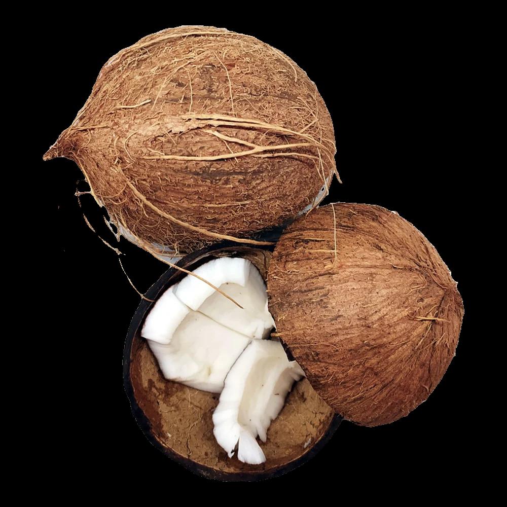 Two whole coconuts and a cracked half showing white flesh