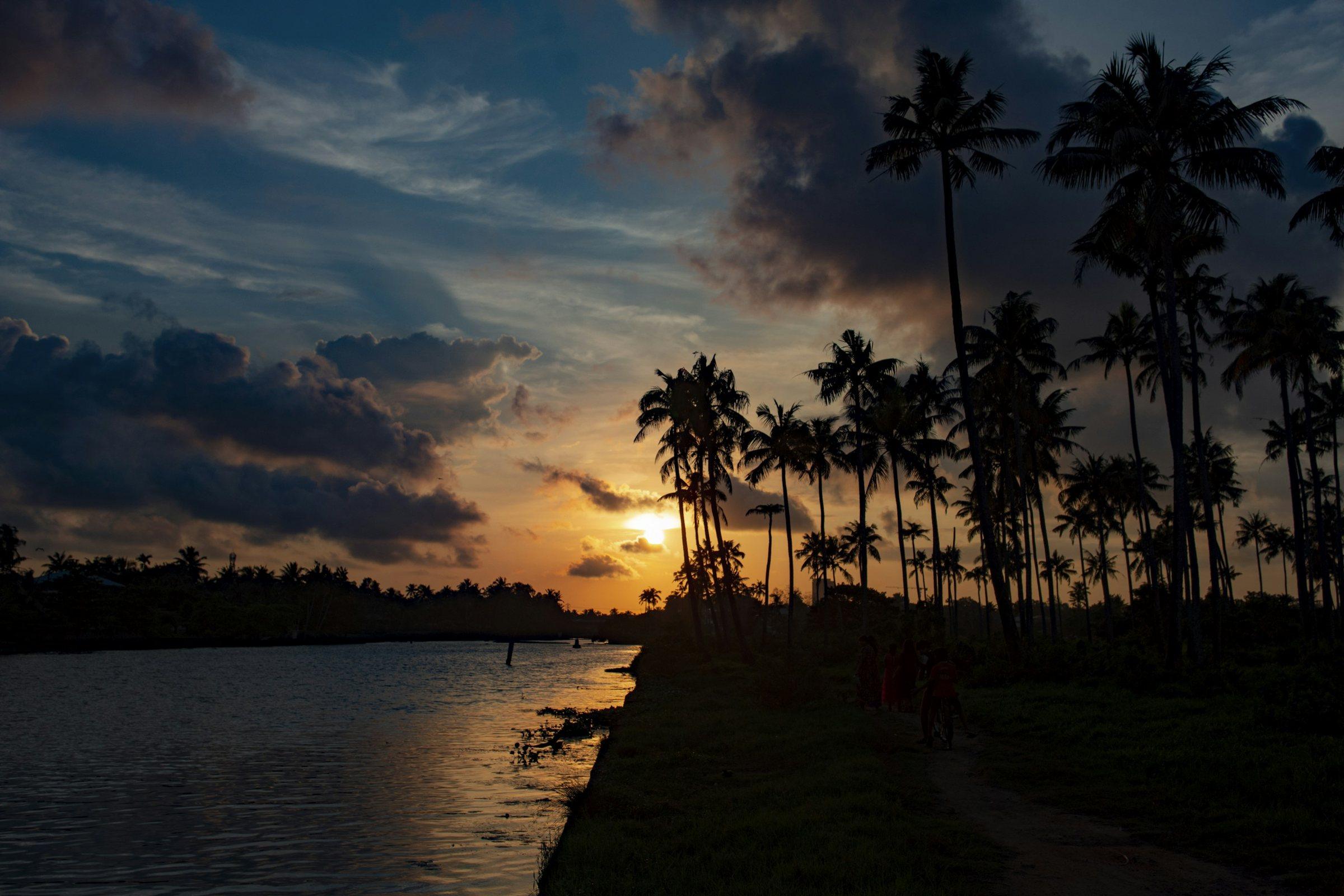 Coconut palms silhouetted against a Kerala sunset over water