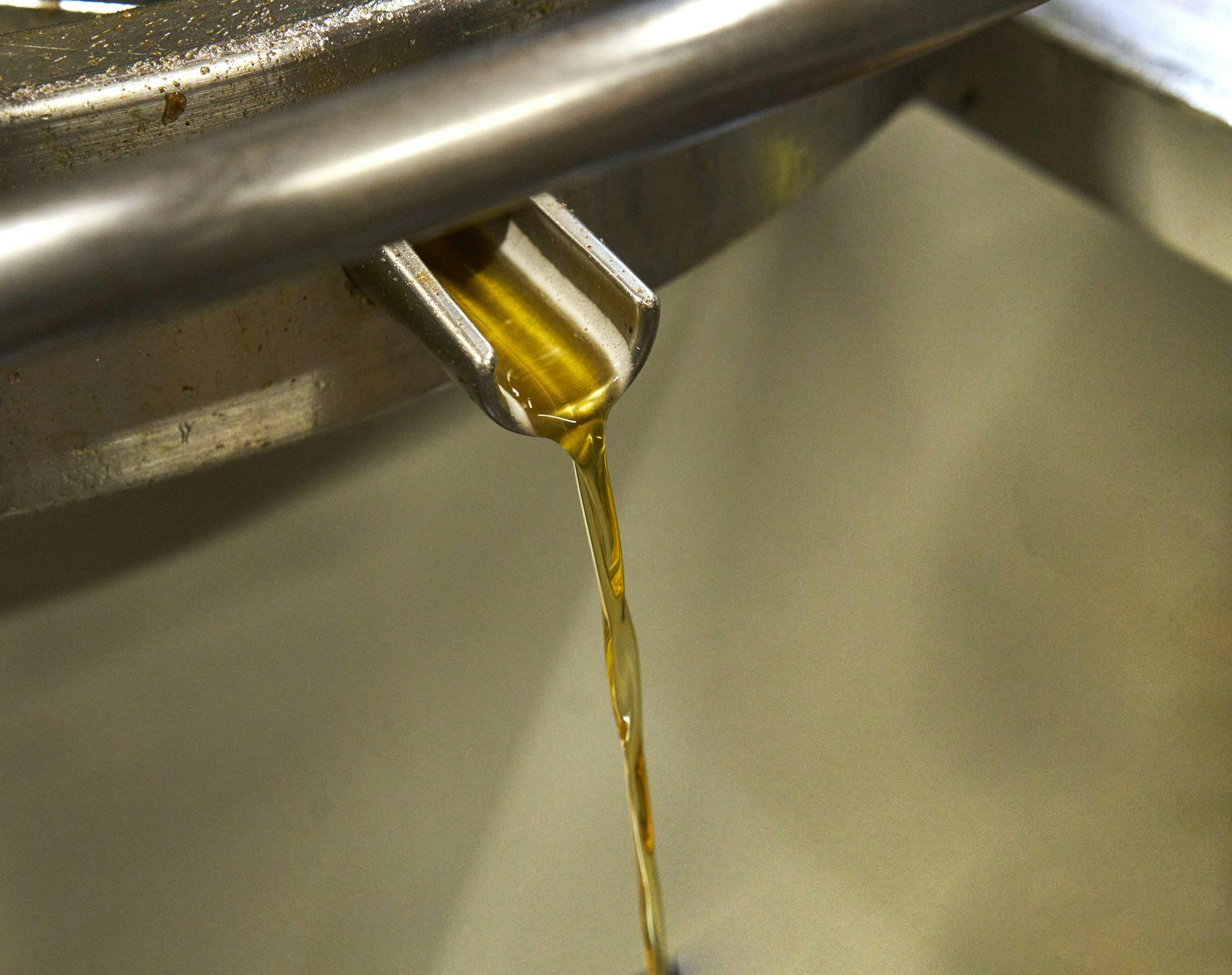 Golden oil pouring from a steel spout